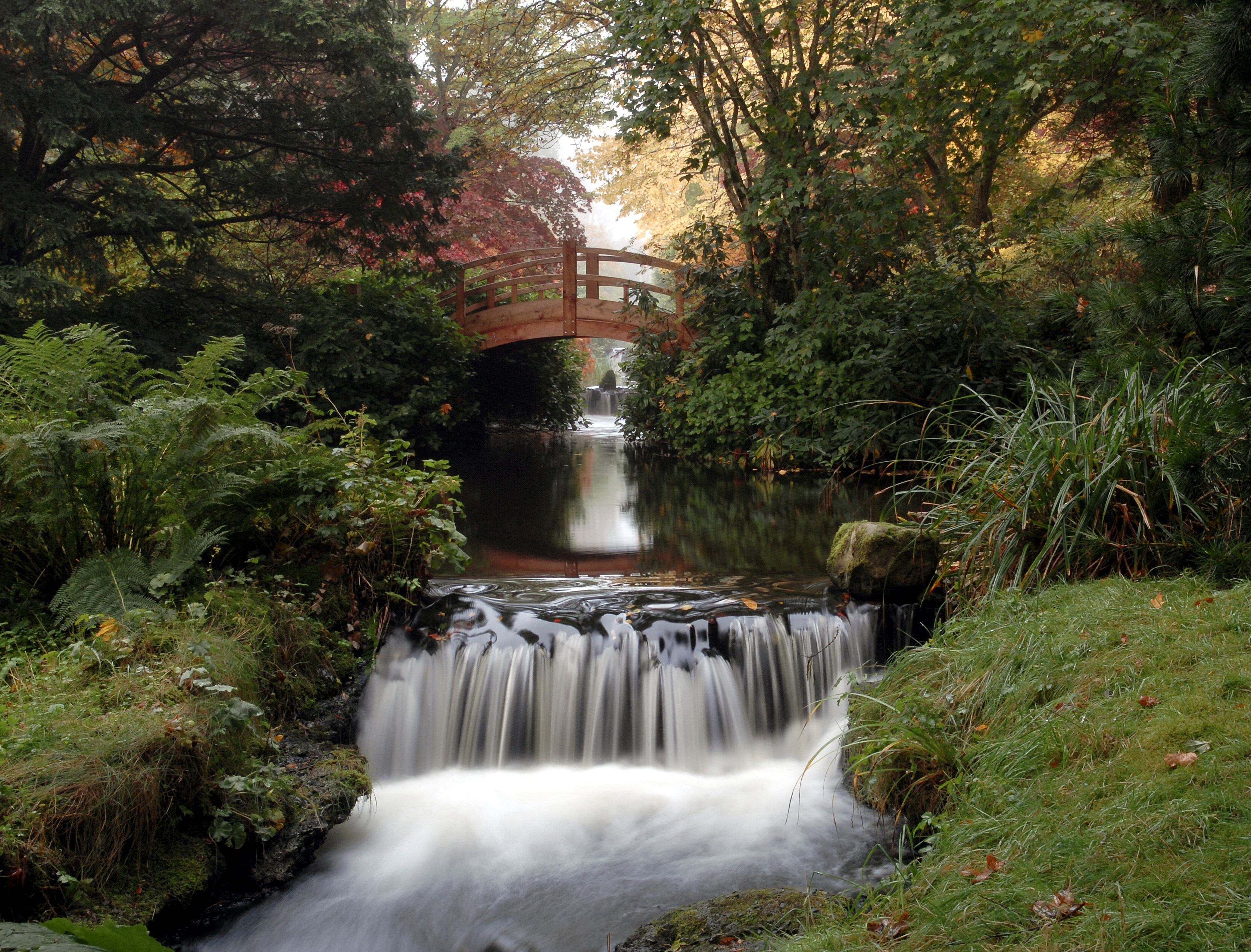 Water garden features