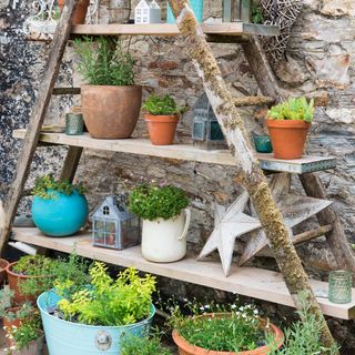 Standalone garden shelving with potted plants
