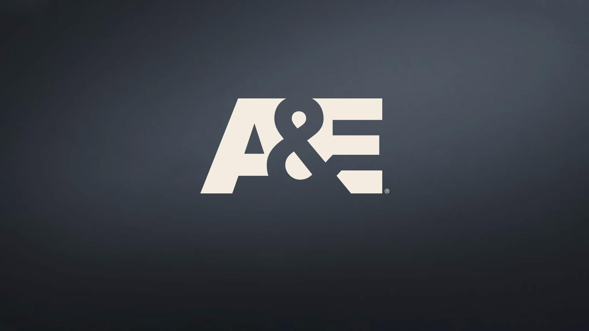 A&E to Use TVision's Total View to Measure CTV Ad Engagement | TV Tech