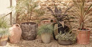 Mediterranean style garden with gravel border and potted grasses and succulents in terracotta pots to show key garden trend 2023