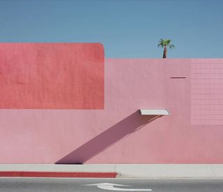 A pink wall with blue sky and the top of a palm tree