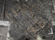 This 5,000-year-old wooden door was found in a village buried on the shores of Lake Zurich in Switzerland.