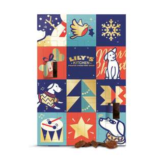 best advent calendars - dog christmas advent calendar