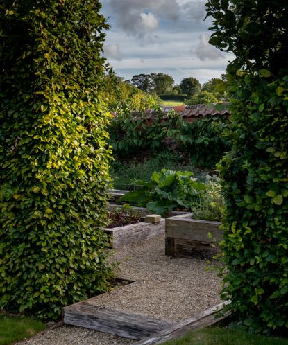 Landscaping with hedges: 11 clever ways to include them | Homes & Gardens