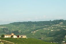 La Brunella farm owned by Baroli in Barolo