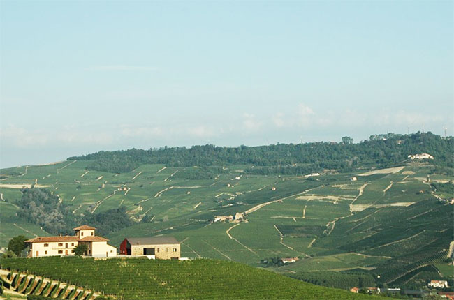 La Brunella farm owned by Baroli in Barolo