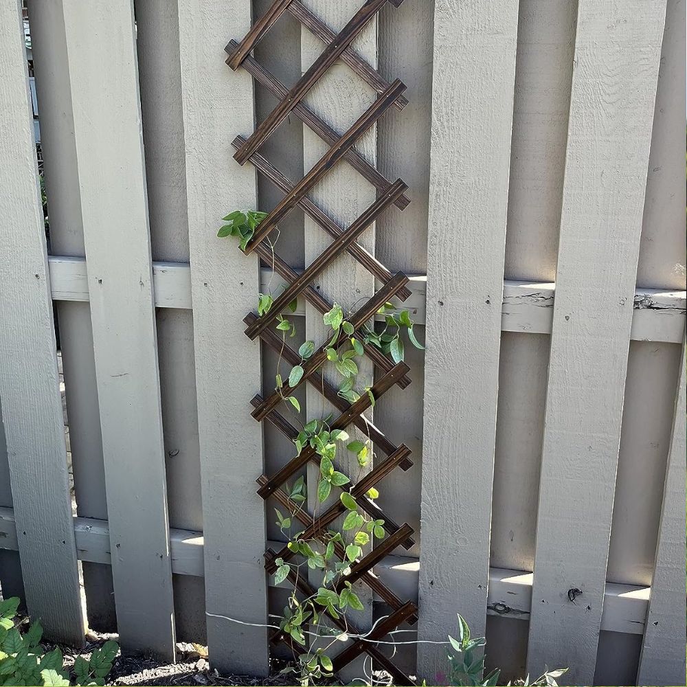 retractable wooden trellis