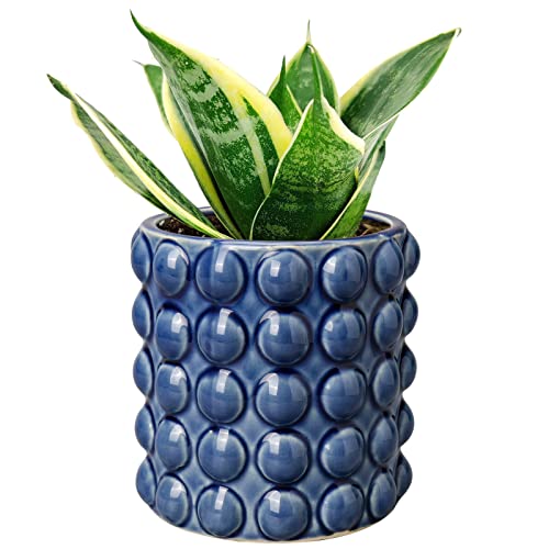Dilatata 6 Inch Ceramic Planter Pot for Indoor Plants With Drainage Hole Bubble Flower Planter Hobnail Plant Pot Garden Planter Blue Succulent Plant Pot Utensil Holder