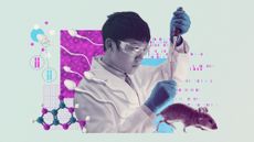 Photo composite illustration of a bioscientist filling a test tube, sperm cells, guanine molecules, chromosomes and a mouse