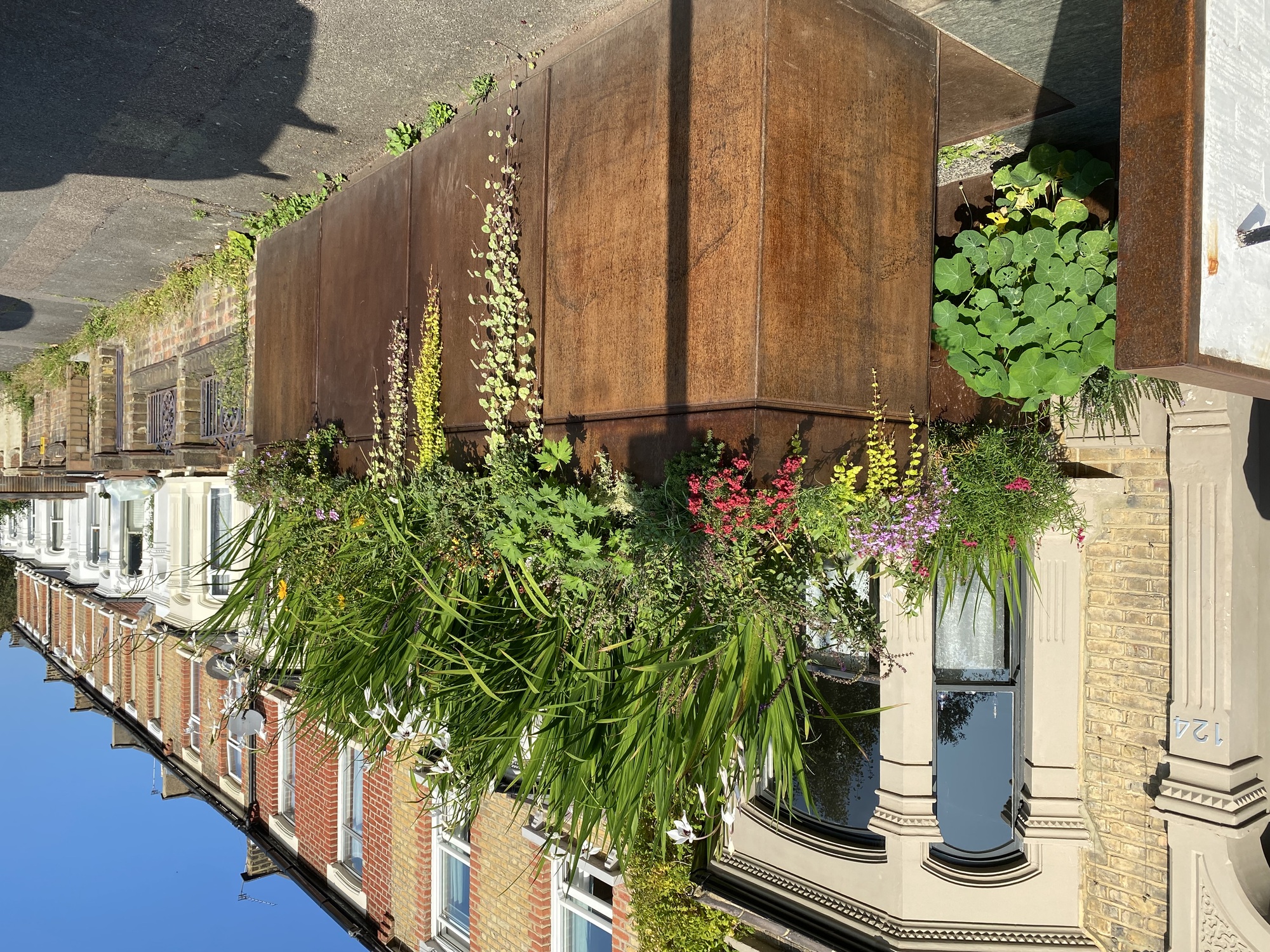 A row of terrace houses with a small iron shed disguised as a wall with plants potted in the top
