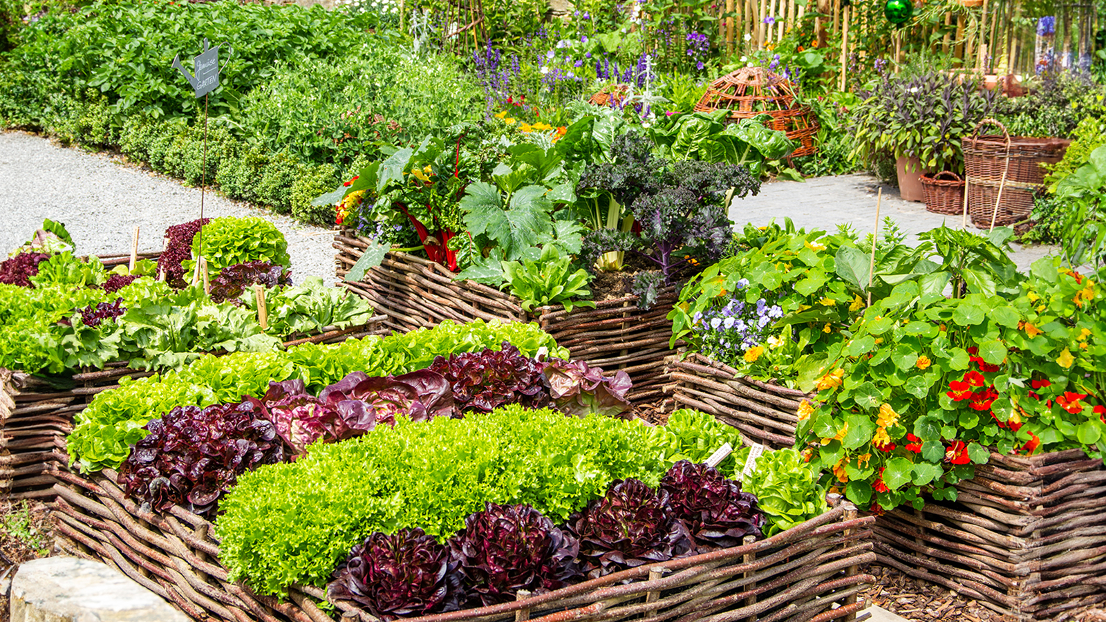 Vegetable garden filled with beautiful plants