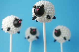 Sheep cake pops