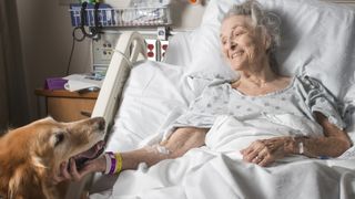 Dog with lady in hospital bed