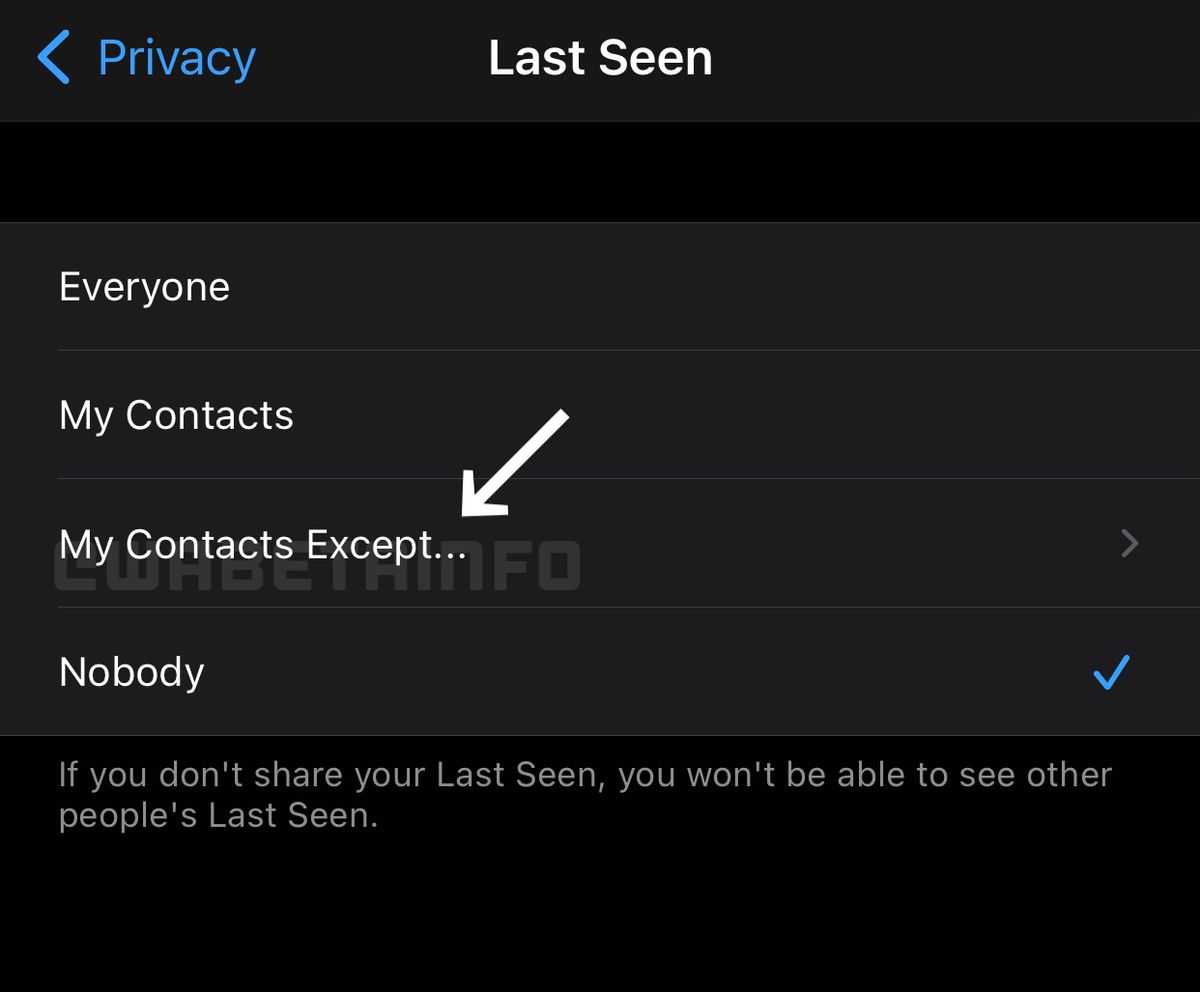 WhatsApp is working on controls for who can view your 'Last Seen