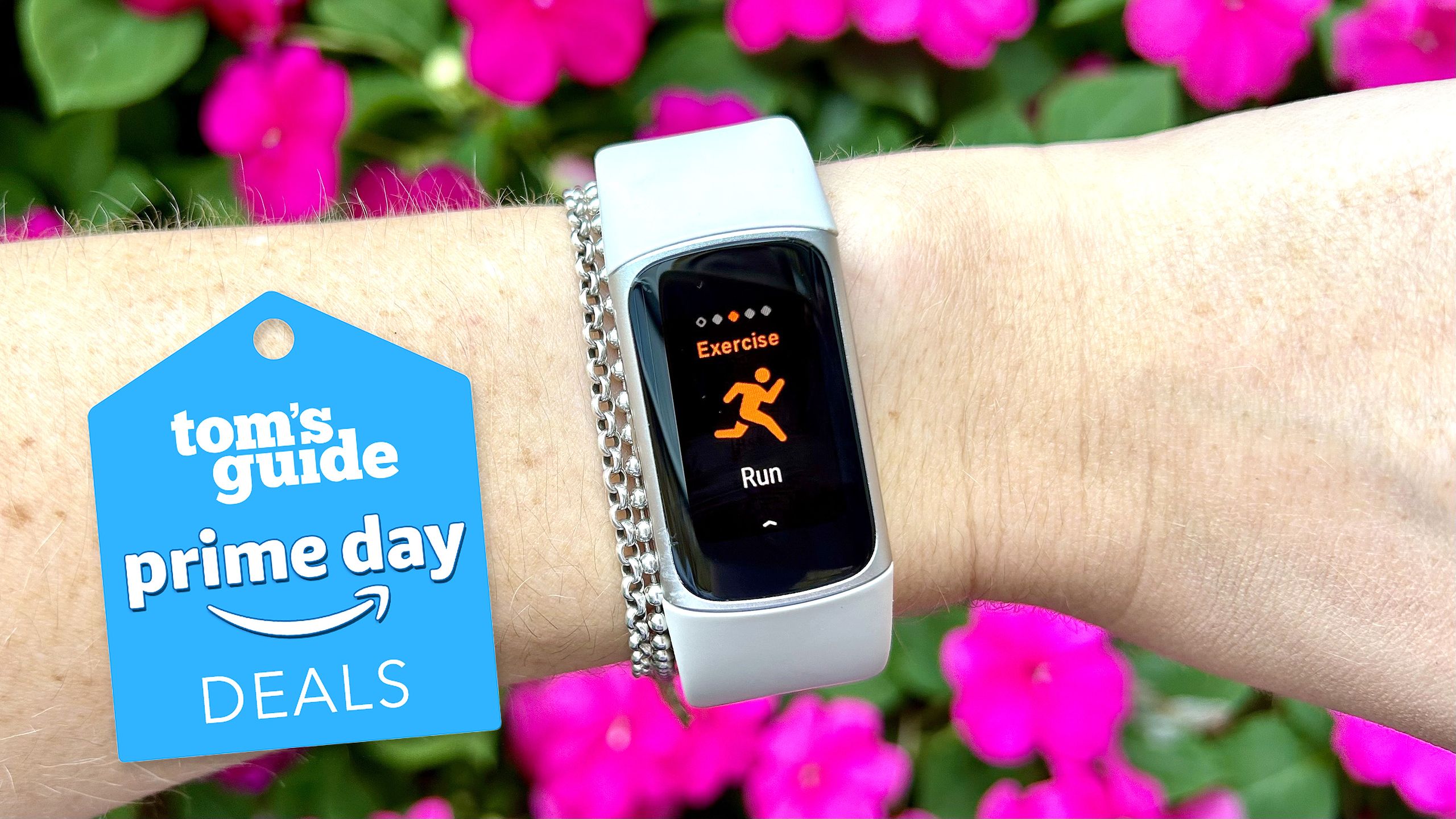 I review fitness trackers and my favorite Fitbit just crashed to its ...