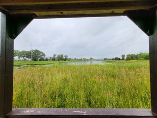 Samsung Galaxy Z Flip 3 camera samples