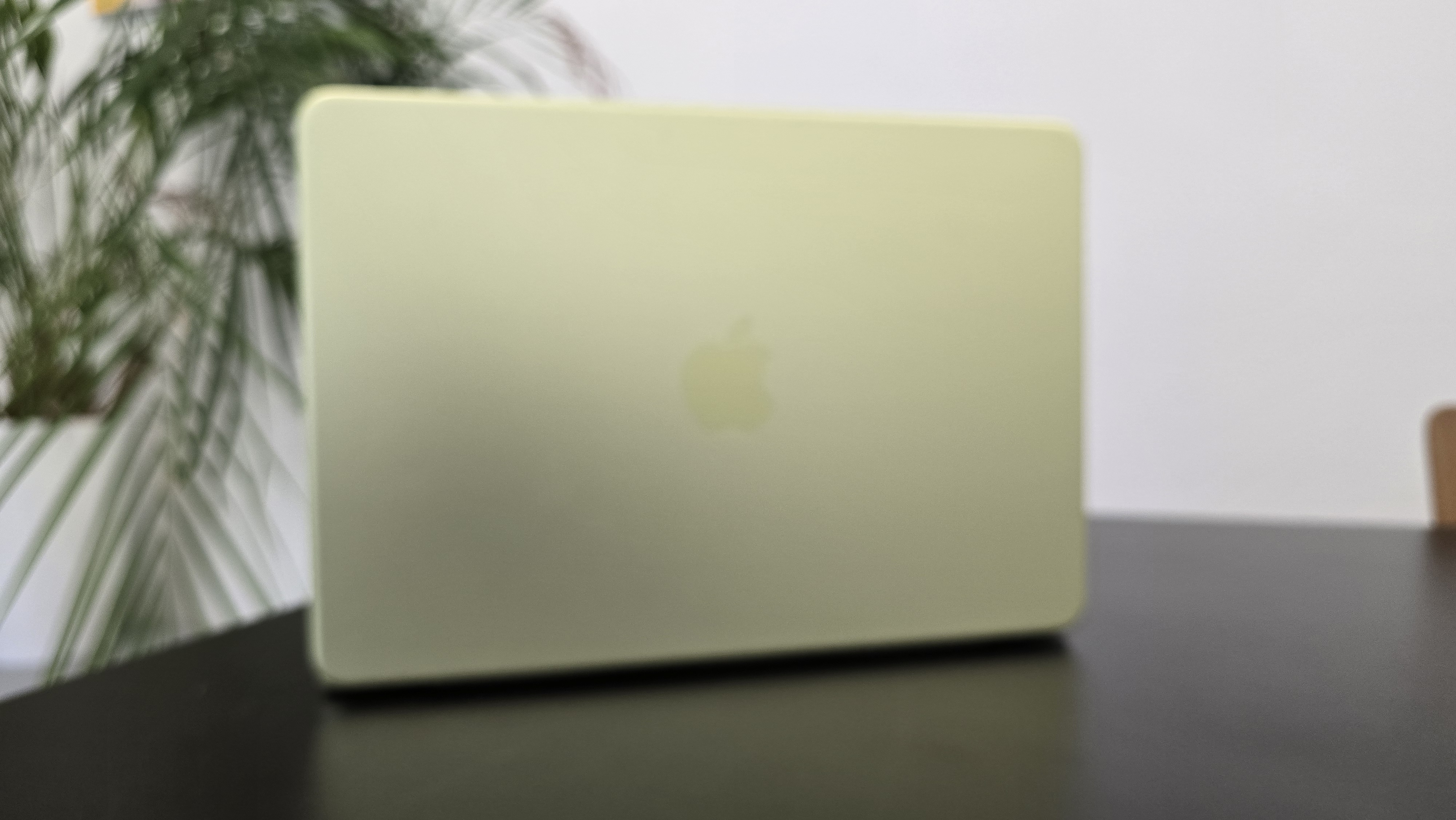 MacBook Neo laptop on a desk with plant in background