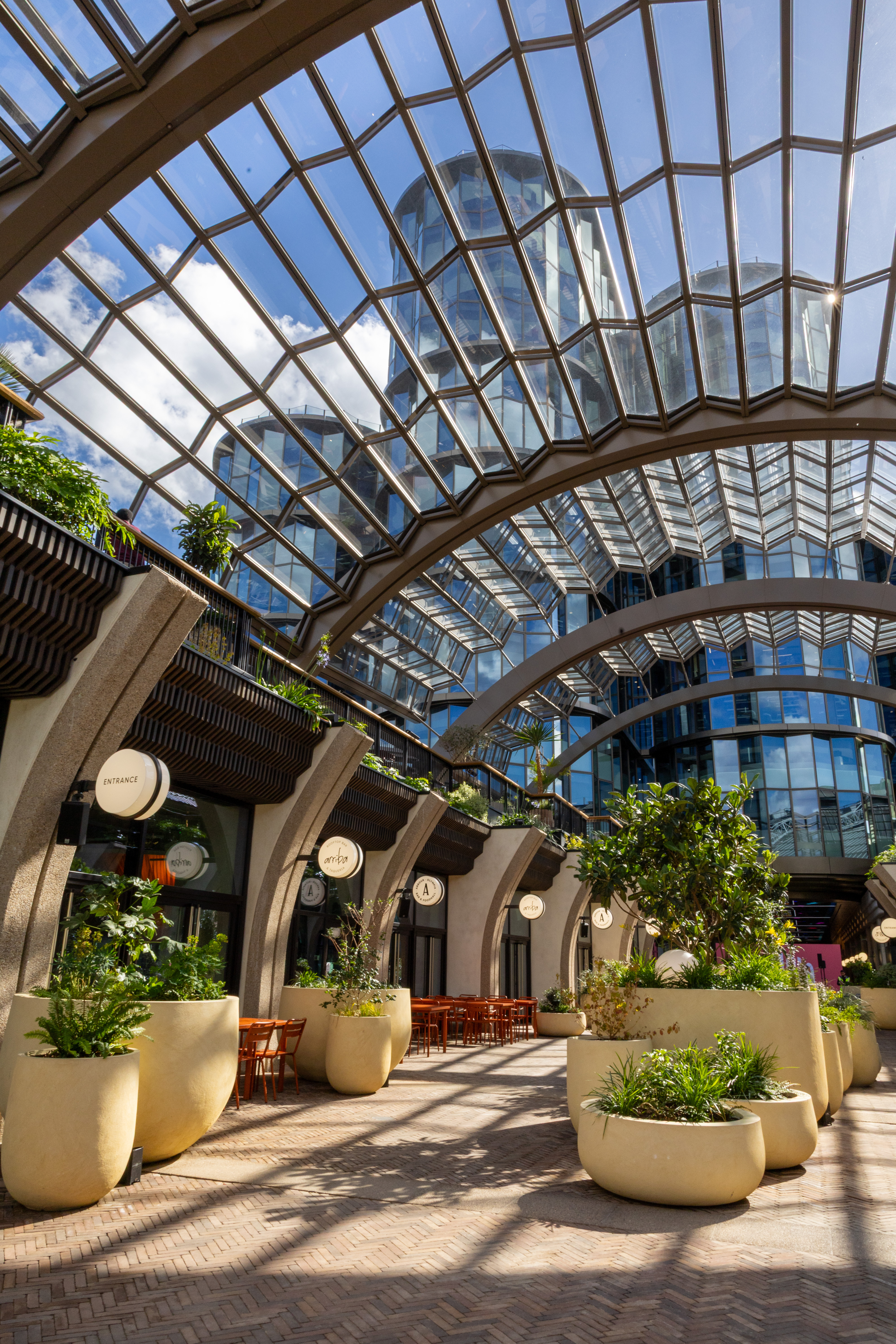 Canopy. Courtesy of Olympia. Photography by Josh Bratt