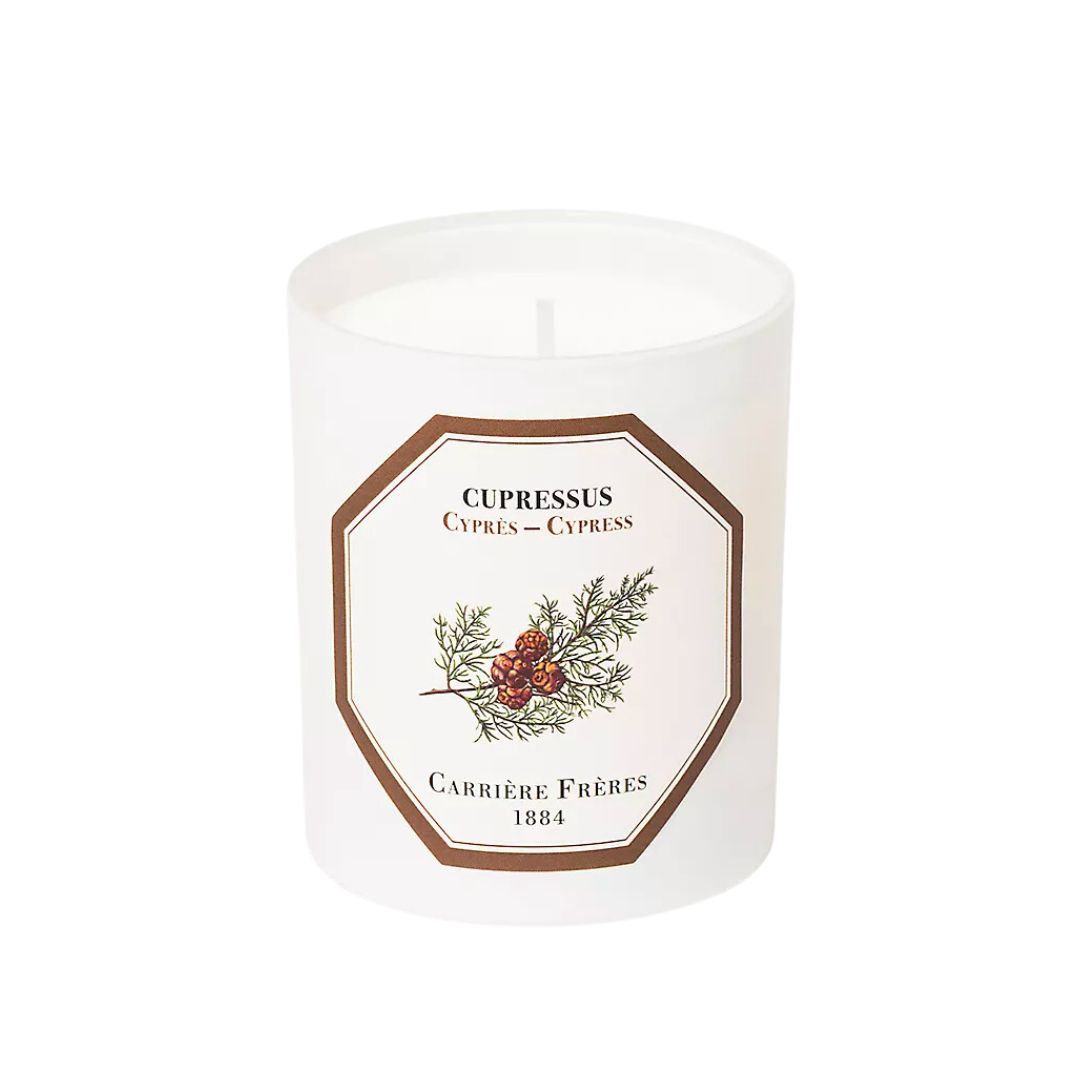 Carriere Freres Cupressus