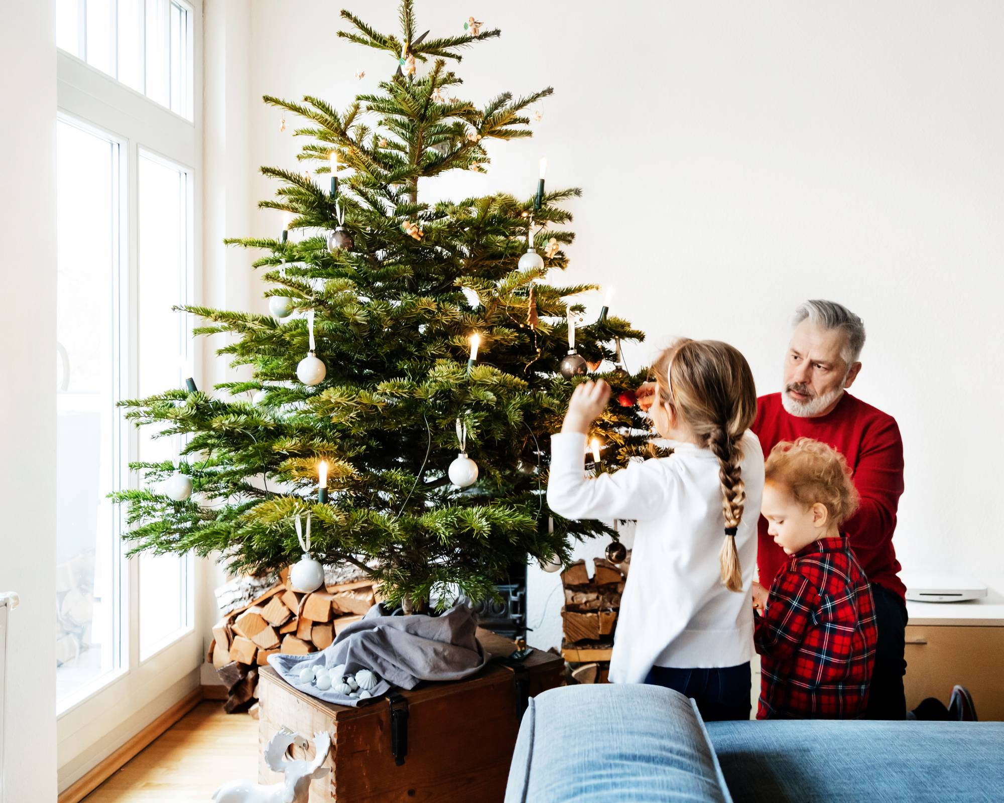 Family decorates a live Christmas tree