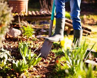 Woman digging a hole in the garden with a spade