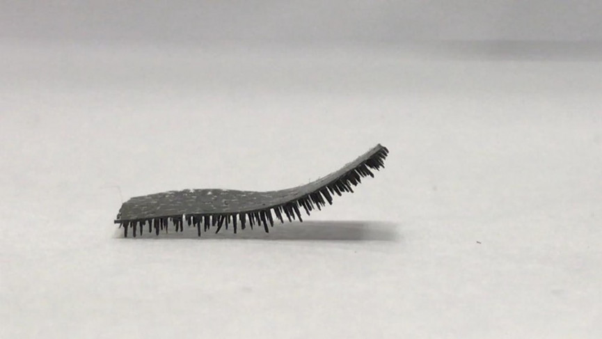 the-future-of-drugs-tiny-robotic-caterpillars-1556648146-CijA-column-width-inline