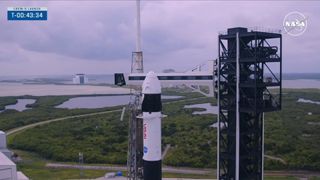 The top of a SpaceX black and white rocket with its Crew Access Arm retracted for launch.