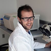 Geoffroy Laumet's avatar