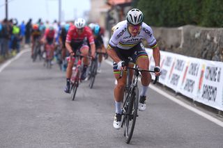 Milan-San Remo: Kwiatkowski owes me a few beers, says Sagan