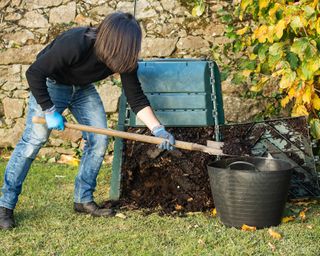 Harvesting finished compost from the bin