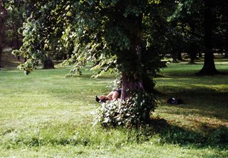 Daytime image, park, green grass, tall leafy trees, man and woman's legs can be seen lay on the ground just around the base of the first tree in shot, black and grey rucksack style bag on the floor to the right