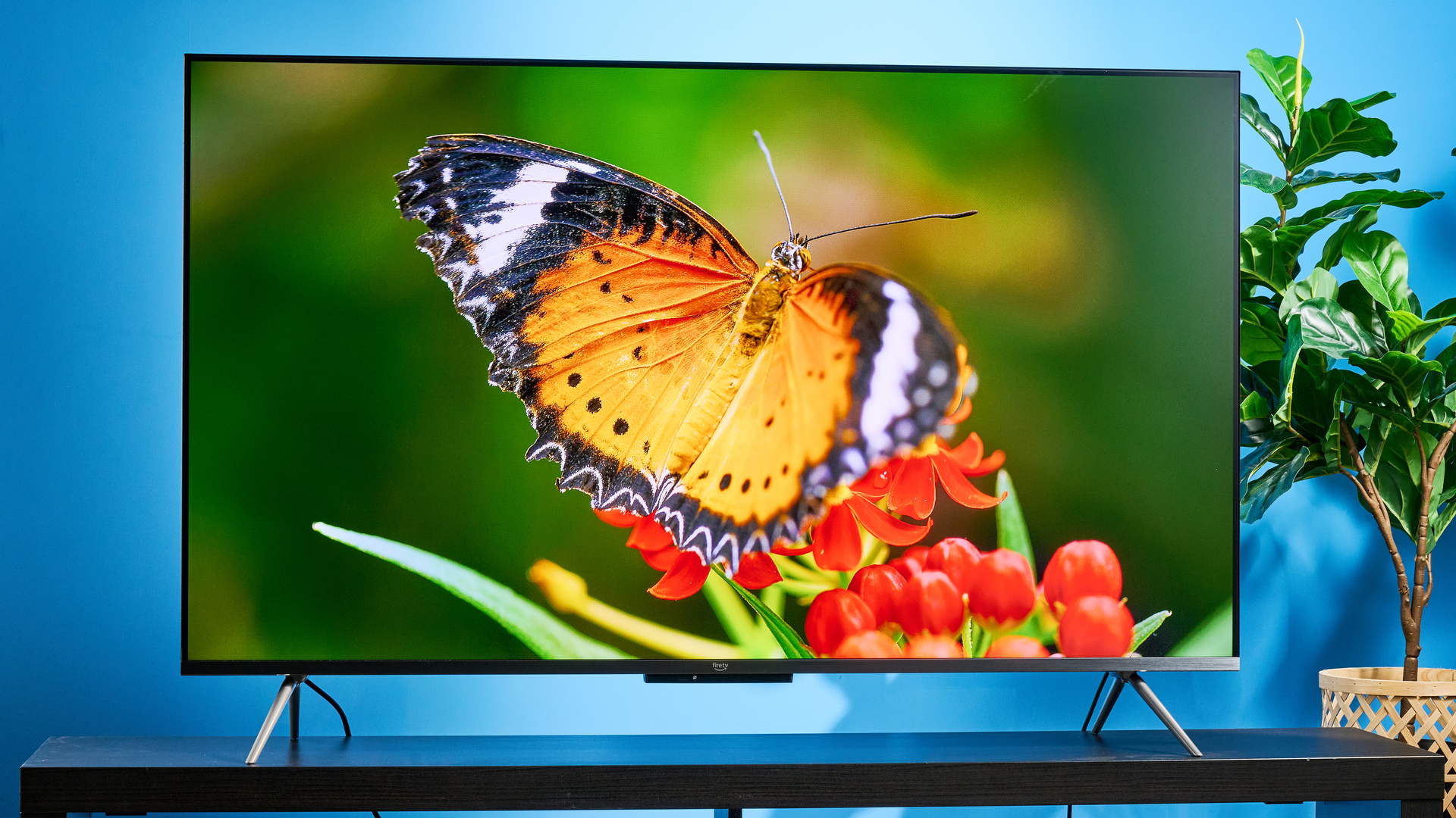 the amazon ember qled 2025 TV