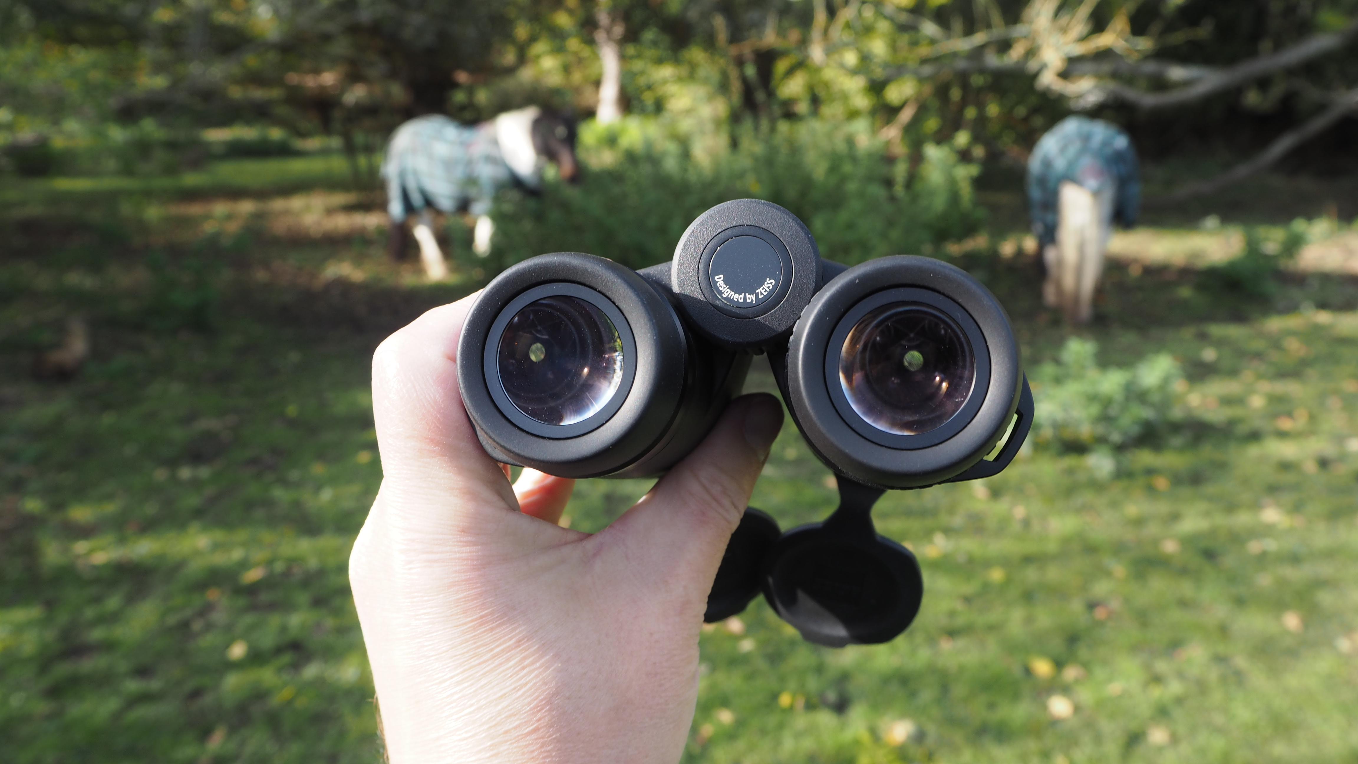 Zeiss Conquest HDX 10x32 binoculars handheld with horse in background