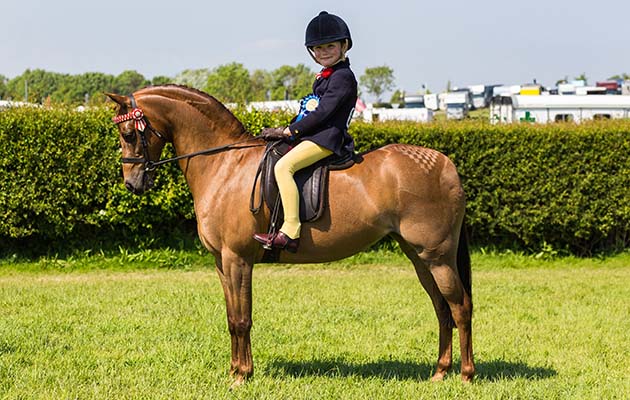 Devon County Show 2018