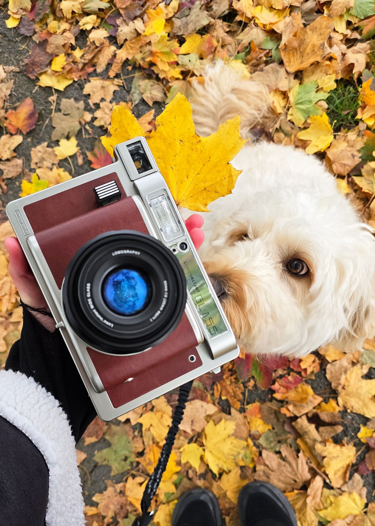 Lomo&rsquo;Instant Wide Glass review