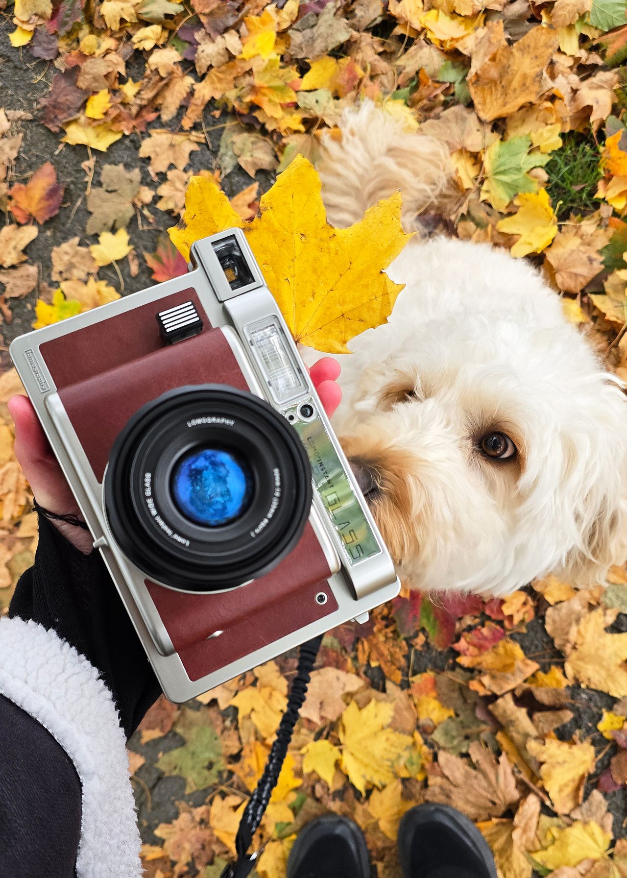 Lomo&rsquo;Instant Wide Glass review