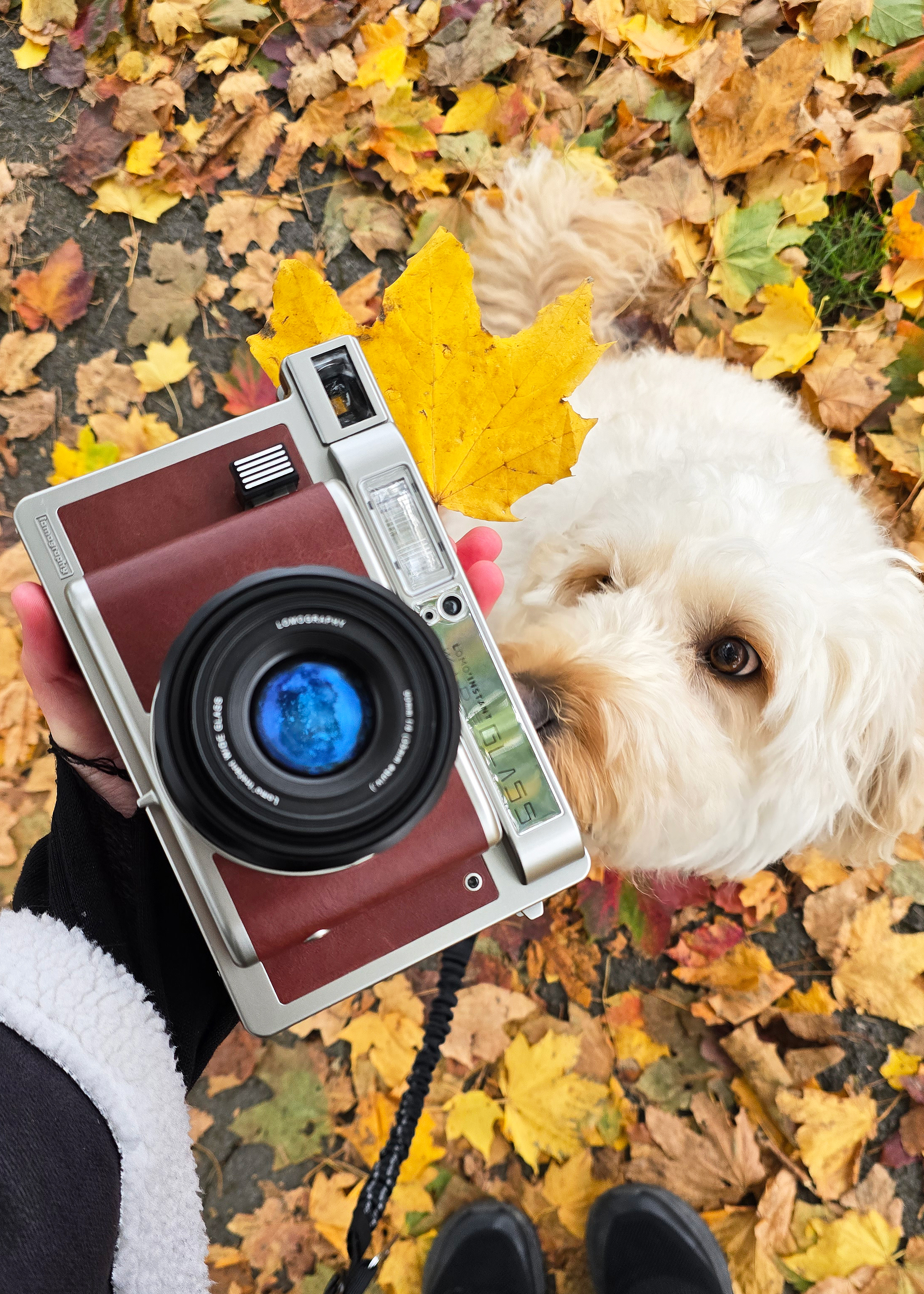 Lomo’Instant Wide Glass review