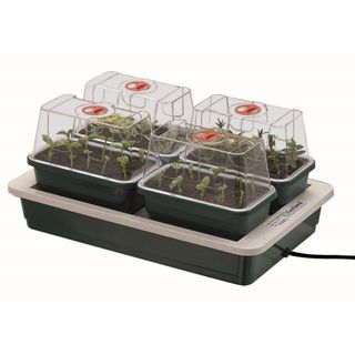 Fab 4 Electric Heated Propagator on white background