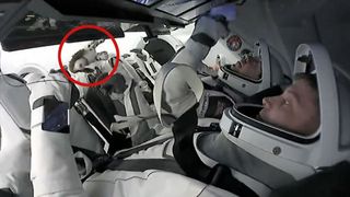 a plush dog floats among four astronauts in white spacesuits in a white spacecraft capsule