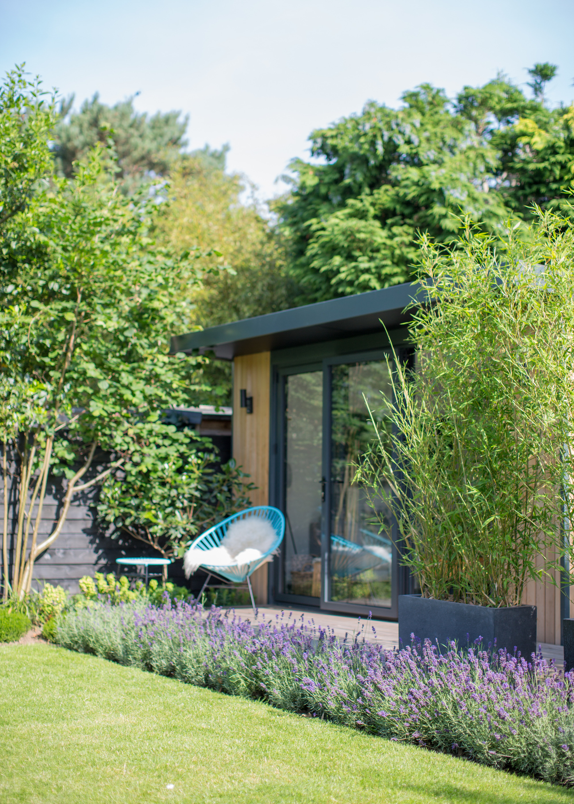 lavender lining a patio edge