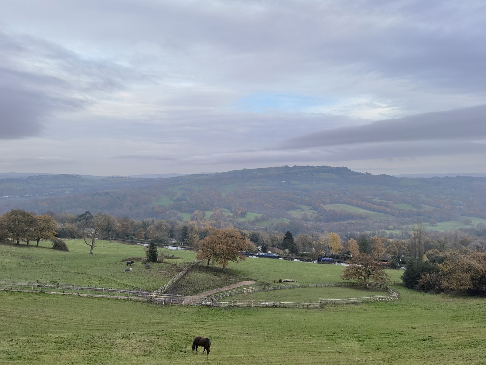 Huawei Mate 40 Pro camera sample