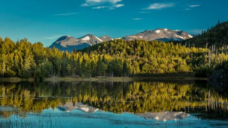 Kenai Peninsula 