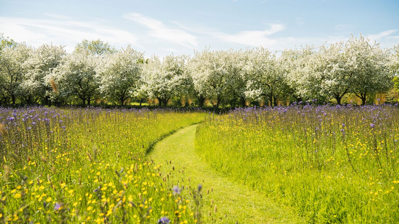 Yeo Valley Organic among gardener saying stop mowing your lawn