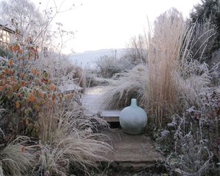 winter garden by Cheryl Cummings