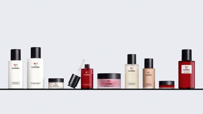 Chanel No.1 Lineup of products