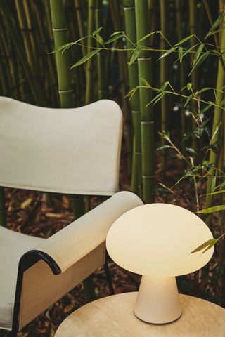 Outdoor scene with portable lamp on a round table near foliage and a white chair
