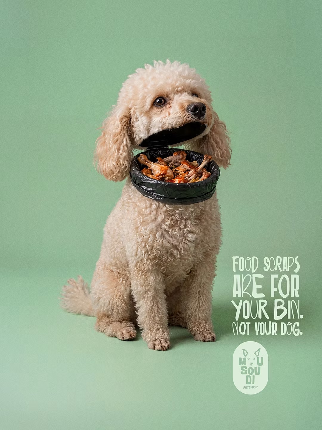 Posters of pets with bins for mouths