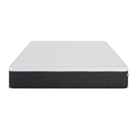 Bear Pro mattress: was $1,364, now from