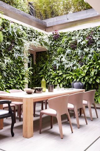 how to bring the outdoors in with indoor living walls