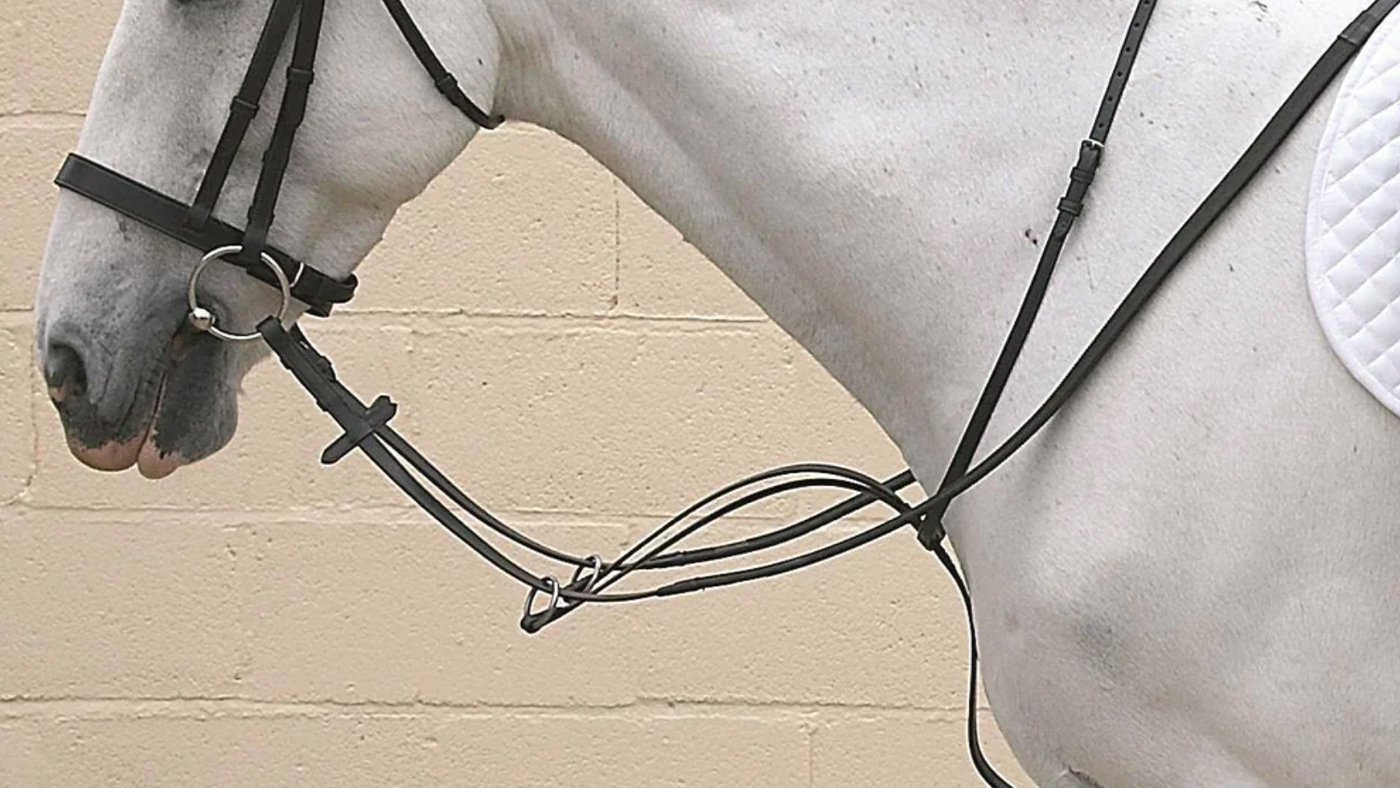 Hy Equestrian Running martingale for horses
